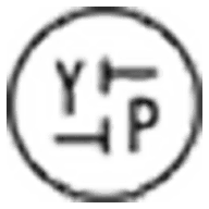 Youth To The People